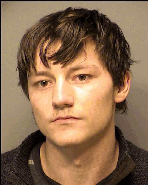 WILLIAM MICHAEL NELSON JR.